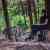 How Forests Think - Image 14